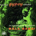 The Hungarian Gypsy Orchestra Of Bela Babai - Ciganypanna Az a Hired Korul Csillagos Az Eg Cigany Panasz Felallott a Nyakkendoje Sarga a Tyuk…