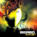 1200 Mics Chicago Electro Nation - Let s Get Cosmic Bigabo Remix