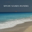 Nature Sounds Relaxing - Water Flow of the Clear Crystal River Sounds to Free Your…