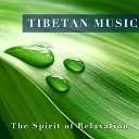 New Age Supreme - Music for Guided Meditation