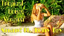 Tony Igy feat Snap - Rame Tropical House version