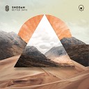 Shodan - What Should I Do