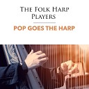 The Folk Harp Players - How Will I Know