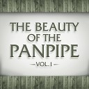 The Panned Pipers - A New Flame Instrumental