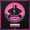 Rawdio - Soft Mood Original Mix