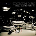 Gianfranco Basile - Stars Under the Sun Instrumental Mix
