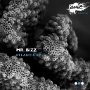 Mr Bizz - Indigo Original Mix