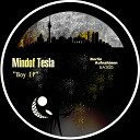 Mindof Tesla - Boy Original Mix