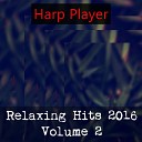 Harp Player - Sweatshirt Instrumental