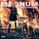 Magnum - Под прицелом