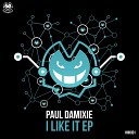 Paul Damixie - I Like It