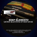 Deep Elementz - Shades Of Color Trackwerk Mix