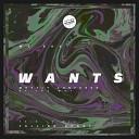Wants - Random Notes Squane Remix