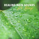 Natural Sounds Music Academy - Healthy Sleep