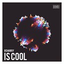 Bsharry - Is Cool Radio Edit