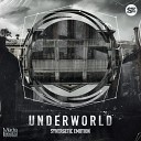 Synergetic Emotion - Underworld Original Mix