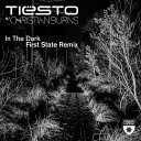 Tiesto featuring Christian Burns - In the Dark First State Extended Remix
