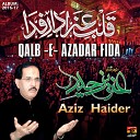 Aziz Haider - Ay Phuphi Amman