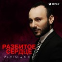 Zamin Amur - Разбитое сердце acoustic…