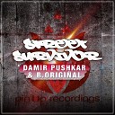 Damir Pushkar B Original - Street Survivor Original Mix