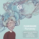 Funkware - Future In The Past Original Mix