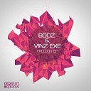 Booz Vinz Exe - Frozen Original Mix