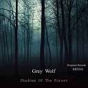 Grey Wolf - Shadows Of The Forest Original Mix