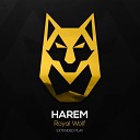 Royal Wolf - In The Harem Original Mix