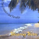 Tony Saunders Paradize - Whispering Waters