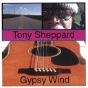 Tony Sheppard - Place Between the Shadows