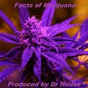 Dr House - Facts of Marijuana Original Mix