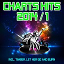 Burn Let Her Go 1 incl Timber Charts Hits… - Jubel
