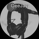 CeeJay - Hate On Me