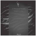 A Thousand Details - Bas Al Dal 02 Original Mix