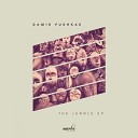 Damir Pushkar - Pina Colada Stanny Abram Remix