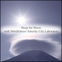 Mindfulness Amenity Life Laboratory - Cattleya Stress Free Original Mix