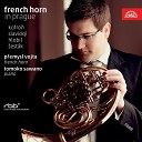 P emysl Vojta Tomoko Sawano - Concertino for French Horn and Piano No 2 in F Major II Allegro…