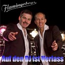 Flamingoboys - Auf Den DJ Ist Verlass Radio Version