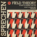 Field Theory - What s Going On Original Mix