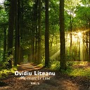 Ovidiu Liteanu - Sunt O M n De r n