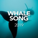 Whale Song - Rain Background Original Mix