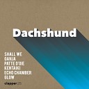 Dachshund - Echo Chamber RE 201 Mix