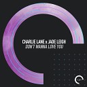 Charlie Lane feat Jade Leigh - Don t Wanna Love You Radio Edit