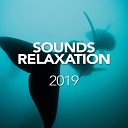 Whale Sounds For Relaxation - Nortfolk Whistling Wind Original Mix
