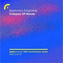 Keytronics Ensemble - Calypso Of House Julien Jabre Remix