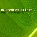 Rainforest Music Lullabies Ensemble - Above the Clouds