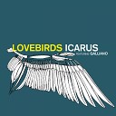 Lovebirds feat Galliano - Icarus Syncopix Remix