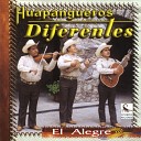 Huapangueros Diferentes - El Fandanguito