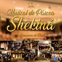Orquestra Shekin - Sua Presen a Real