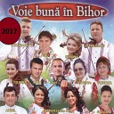 Gemenele din Bihor - Carutas Cu Mandri Cai